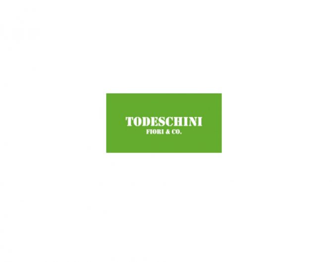 n_todeschini